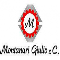 Montanari Giulio & C
